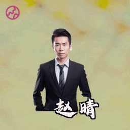 赵晴